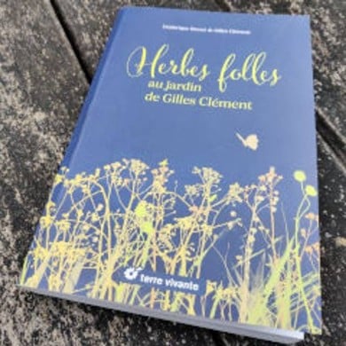 Herbes folles au jardin de Gilles Clément (X.G. / Gerbeaud.com)