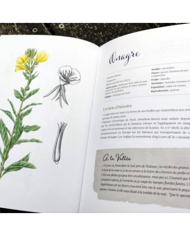 Herbes folles au jardin de Gilles Clément (X.G. / Gerbeaud.com)