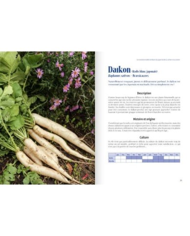 Cultiver les légumes du Japon - pages intérieures (D.R. / Terre Vivante)