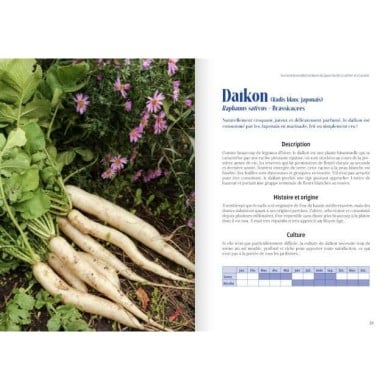 Cultiver les légumes du Japon - pages intérieures (D.R. / Terre Vivante)