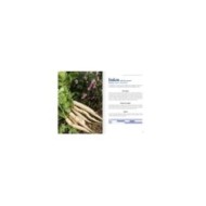 Cultiver les légumes du Japon - pages intérieures (D.R. / Terre Vivante)