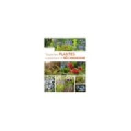 Toutes les plantes supportant la sécheresse (couverture) (D.R. / Ulmer)