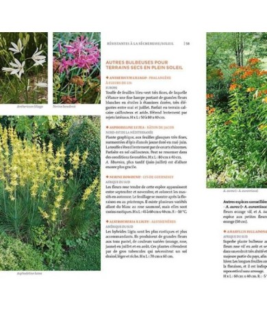 Toutes les plantes supportant la sécheresse (zoom page intérieure) (D.R. / Ulmer)