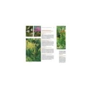 Toutes les plantes supportant la sécheresse (zoom page intérieure) (D.R. / Ulmer)