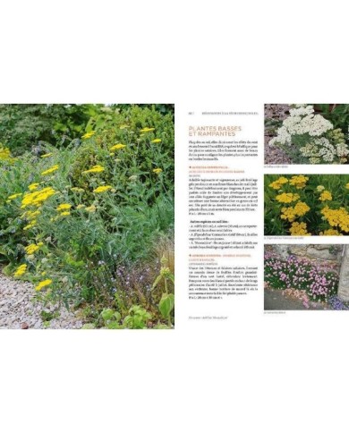 Toutes les plantes supportant la sécheresse (page intérieure) (D.R. / Ulmer)