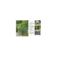 Toutes les plantes supportant la sécheresse (page intérieure) (D.R. / Ulmer)