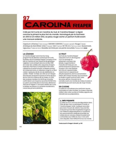 100 piments à cultiver et à déguster : page intérieur (D.R. / Ulmer)