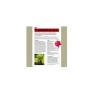 100 piments à cultiver et à déguster : page intérieur (D.R. / Ulmer)