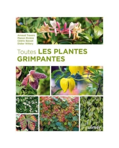 Toutes les plantes grimpantes - Edition Ulmer (Ulmer)
