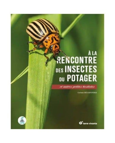A la rencontre des insectes du potager (Ed. Terre Vivante)