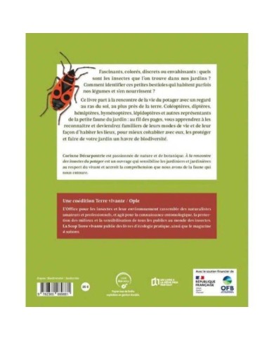 A la rencontre des insectes du potager (Ed. Terre Vivante)