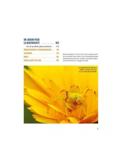 A la rencontre des insectes du potager (Ed. Terre Vivante)
