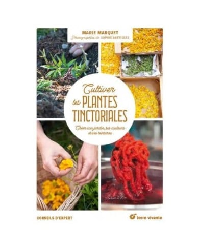 Cultiver les plantes tinctoriales