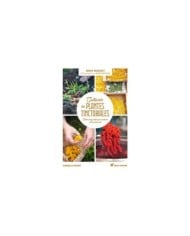 Cultiver les plantes tinctoriales
