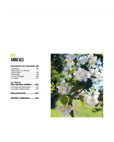J’apprends à tailler mes arbres – Nouvelle édition (Ed. Terre Vivante)