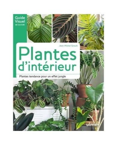 Plantes d'intérieur (Ed. Ulmer)