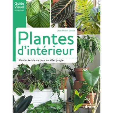 Plantes d'intérieur (Ed. Ulmer)