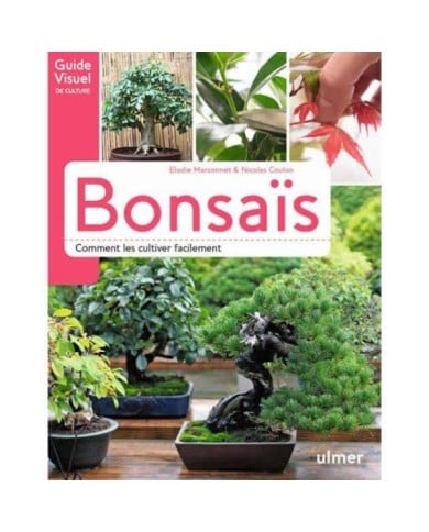 Bonsaïs (Ed. Ulmer)