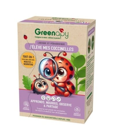 Kit pédagogique d'élevage de coccinelles COCCIFLY TOUT-EN-UN