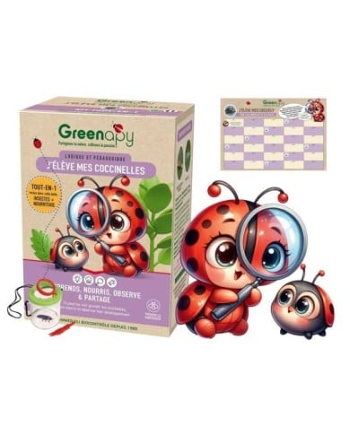 Kit pédagogique d'élevage de coccinelles COCCIFLY TOUT-EN-UN