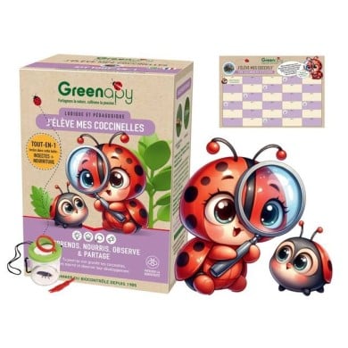 Kit pédagogique d'élevage de coccinelles COCCIFLY TOUT-EN-UN