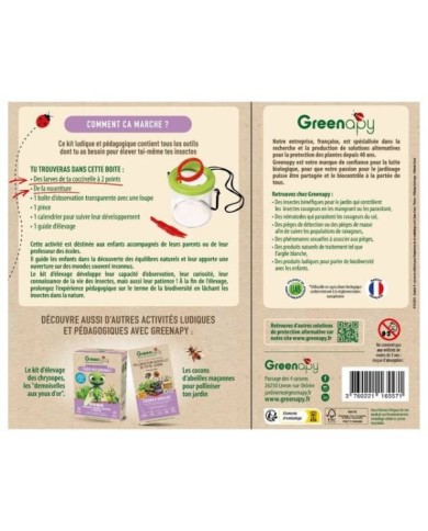 Kit pédagogique d'élevage de coccinelles COCCIFLY TOUT-EN-UN