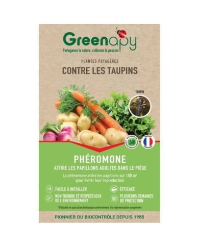 Taupins  - Phéromones - 1 capsule