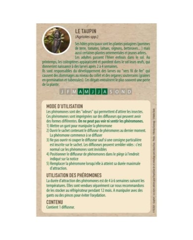 Taupins  - Phéromones - 1 capsule