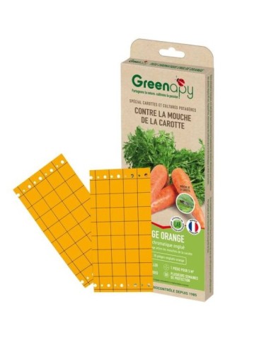 Pièges mouche de la carotte, plaques chromatiques engluées oranges (10 Plaques de 25x10cm)