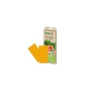 Pièges mouche de la carotte, plaques chromatiques engluées oranges (10 Plaques de 25x10cm)