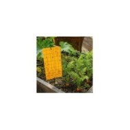 Pièges mouche de la carotte, plaques chromatiques engluées oranges (10 Plaques de 25x10cm)