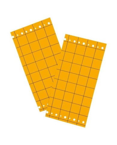 Pièges mouche de la carotte, plaques chromatiques engluées oranges (10 Plaques de 25x10cm)