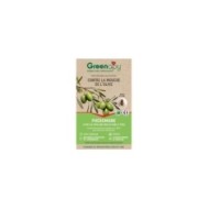 Phéromones - Mouche de l'olive - 2 capsules