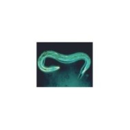 Nématodes contre les limaces (Ph) - Boîte 12M