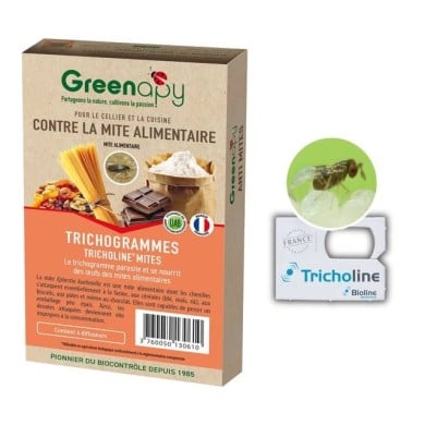 Tricholine®Mites contre les mites alimentaires