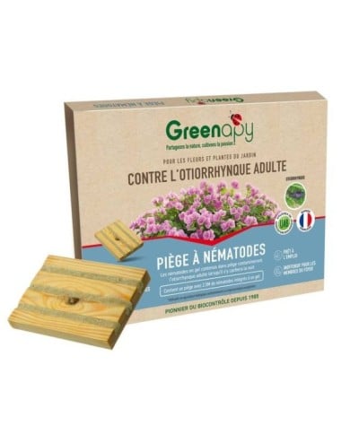 Piège à otiorrhynques adultes à base de nématodes