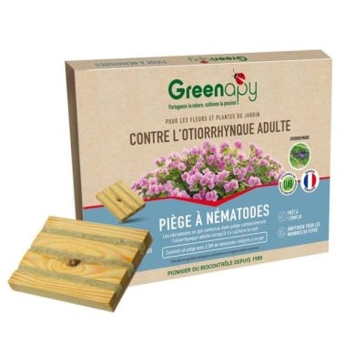 Piège à otiorrhynques adultes à base de nématodes