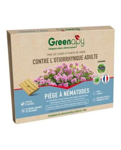 Piège à otiorrhynques adultes à base de nématodes