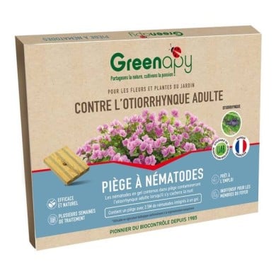 Piège à otiorrhynques adultes à base de nématodes