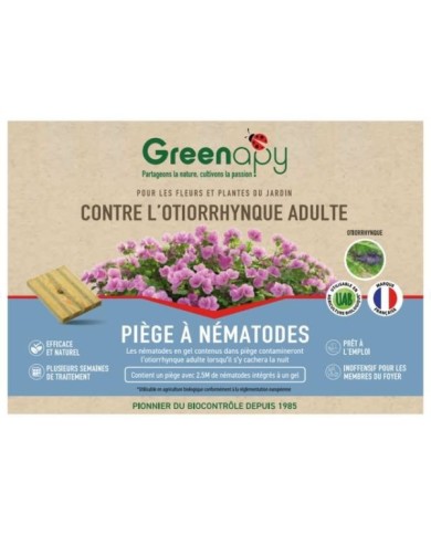 Piège à otiorrhynques adultes à base de nématodes