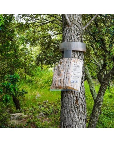 Ecopiège diam 30 cm - Piège à chenille processionnaire du pin - Ecorce
