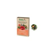 Cryptolaemus contre les cochenilles farineuses - 25 adultes