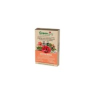 Cryptolaemus contre les cochenilles farineuses - 25 adultes