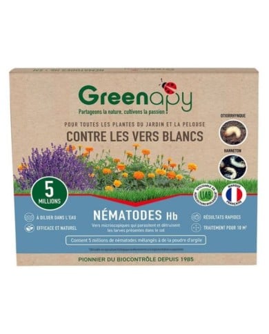 Nématodes Hb anti vers blancs - Boîte de 5M
