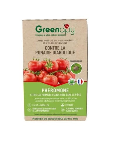 Punaises diaboliques : Phéromones Halyomorpha halys - 2 capsules