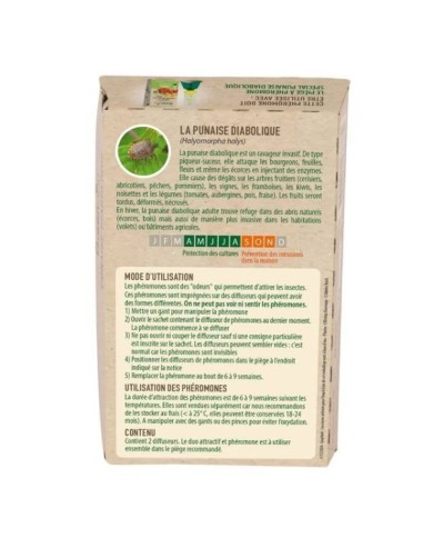 Punaises diaboliques : Phéromones Halyomorpha halys - 2 capsules