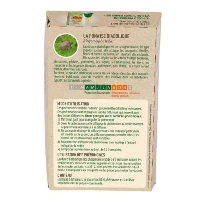 Punaises diaboliques : Phéromones Halyomorpha halys - 2 capsules