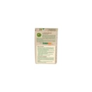 Punaises diaboliques : Phéromones Halyomorpha halys - 2 capsules