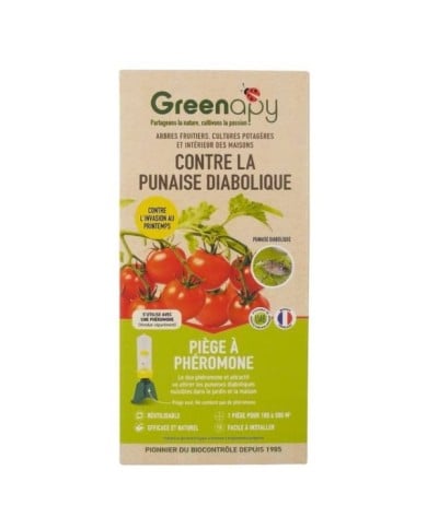 Punaises diaboliques : Piège en entonnoir