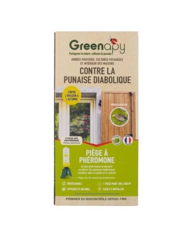 Punaises diaboliques : Piège en entonnoir